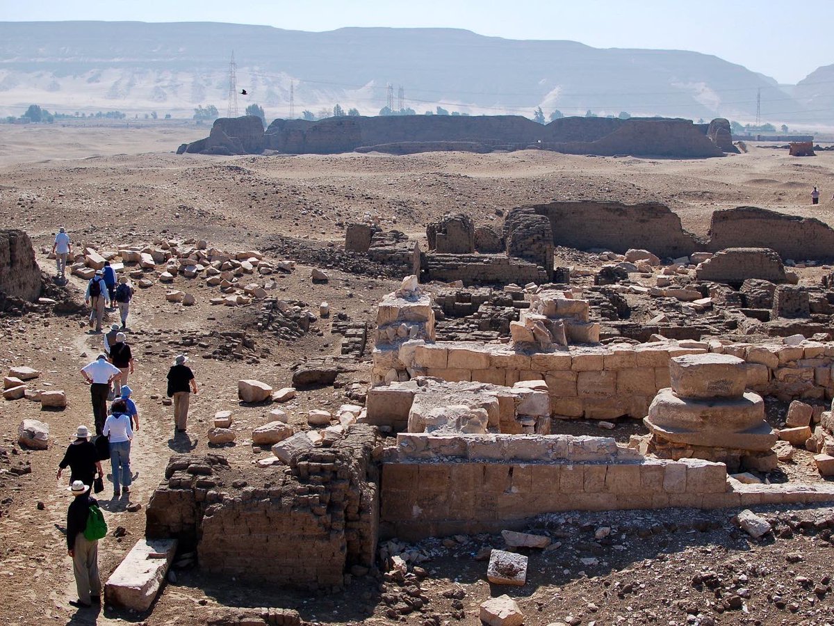 Dr Chris Naunton tweet media