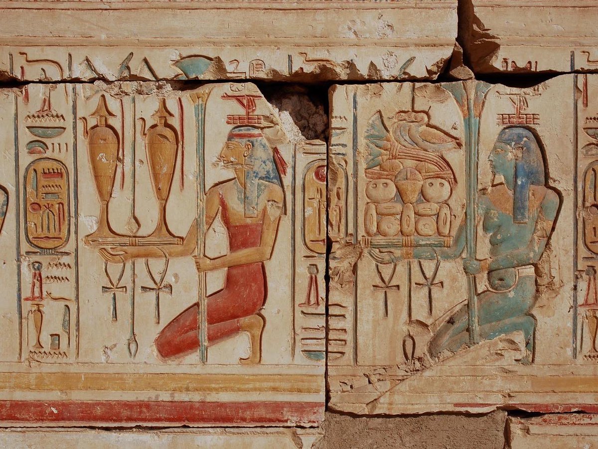 Dr Chris Naunton tweet media