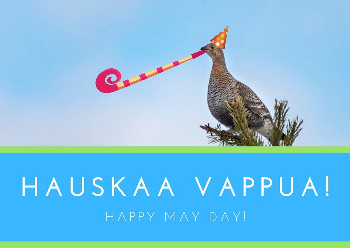 Kaikesta huolimatta 🥳 Despite everything 🥳
#hauskaavappua #HappyMayDay #travelpello #pello