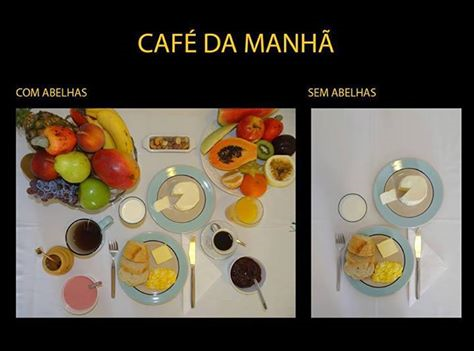 Pop_Ciencia's tweet photo. Como a biodiversidade contribui para a segurança alimentar? https://t.co/JJq3ZgUtDN https://t.co/qHJzORWEF6