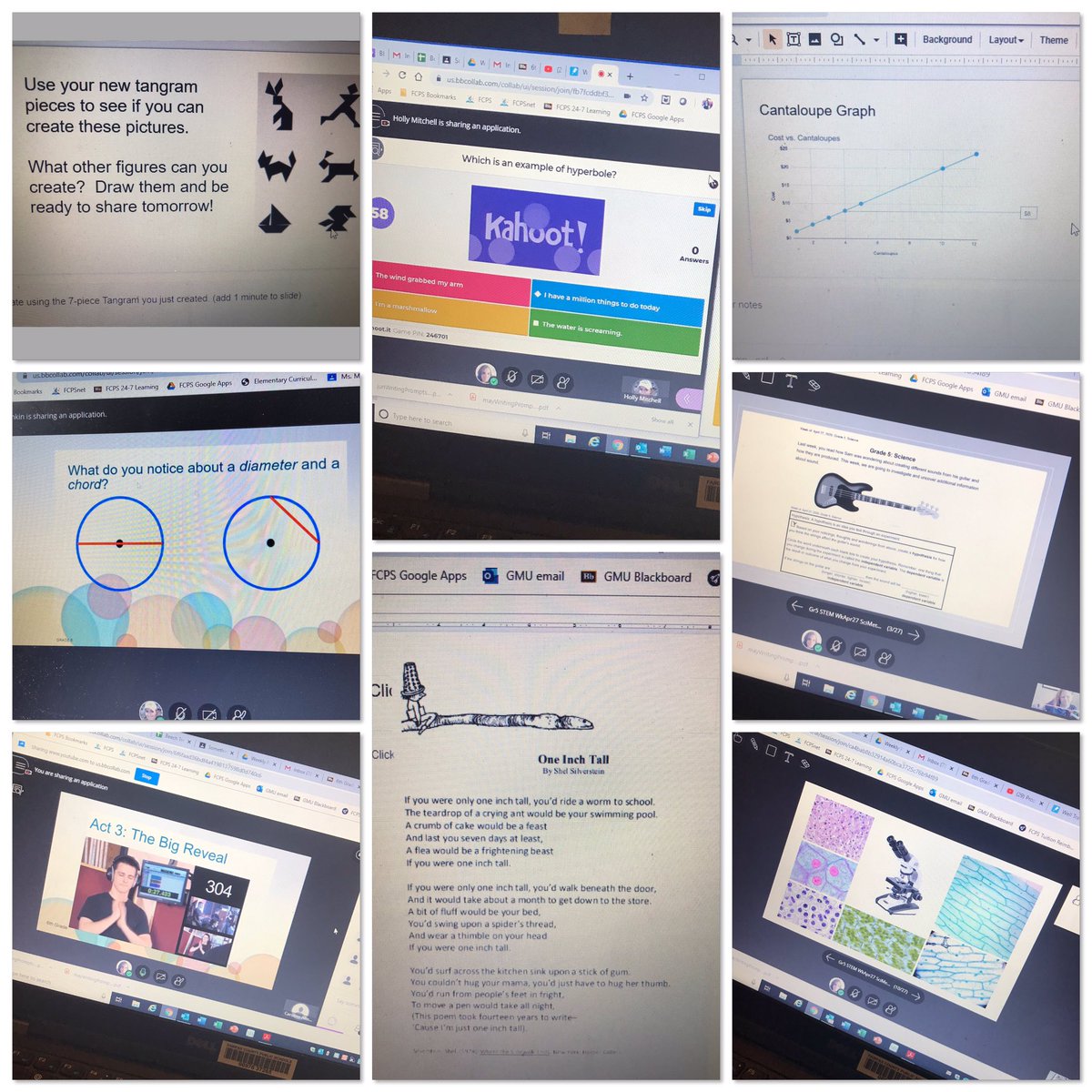 Safaa Ahmad tweet media