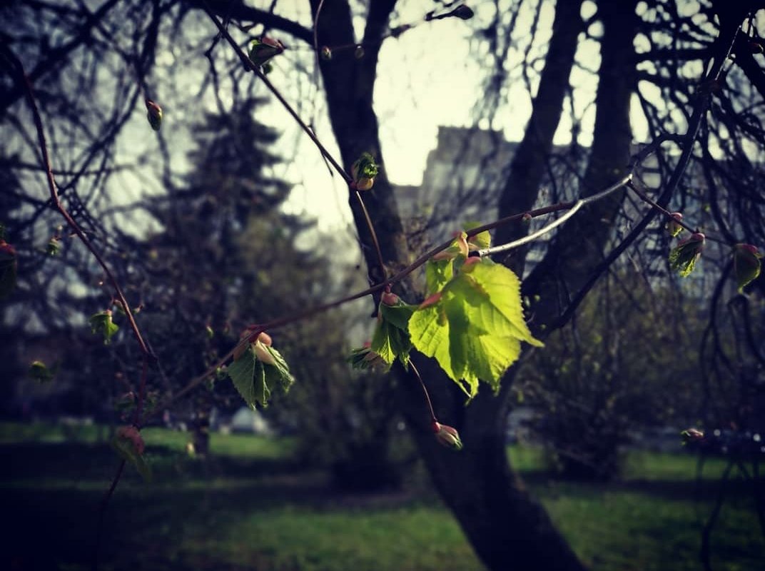 Katerinaki_NK's tweet image. Коронавирус, кризисы, спады и подъёмы... 🤔🙄 ....Природа живёт по своим законам!! 🤨😌😏и поэтому!!.... - Весне быть!! 💃✌️❤️