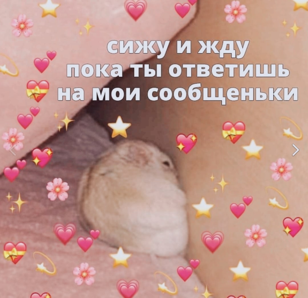 Милые картинки с текстом