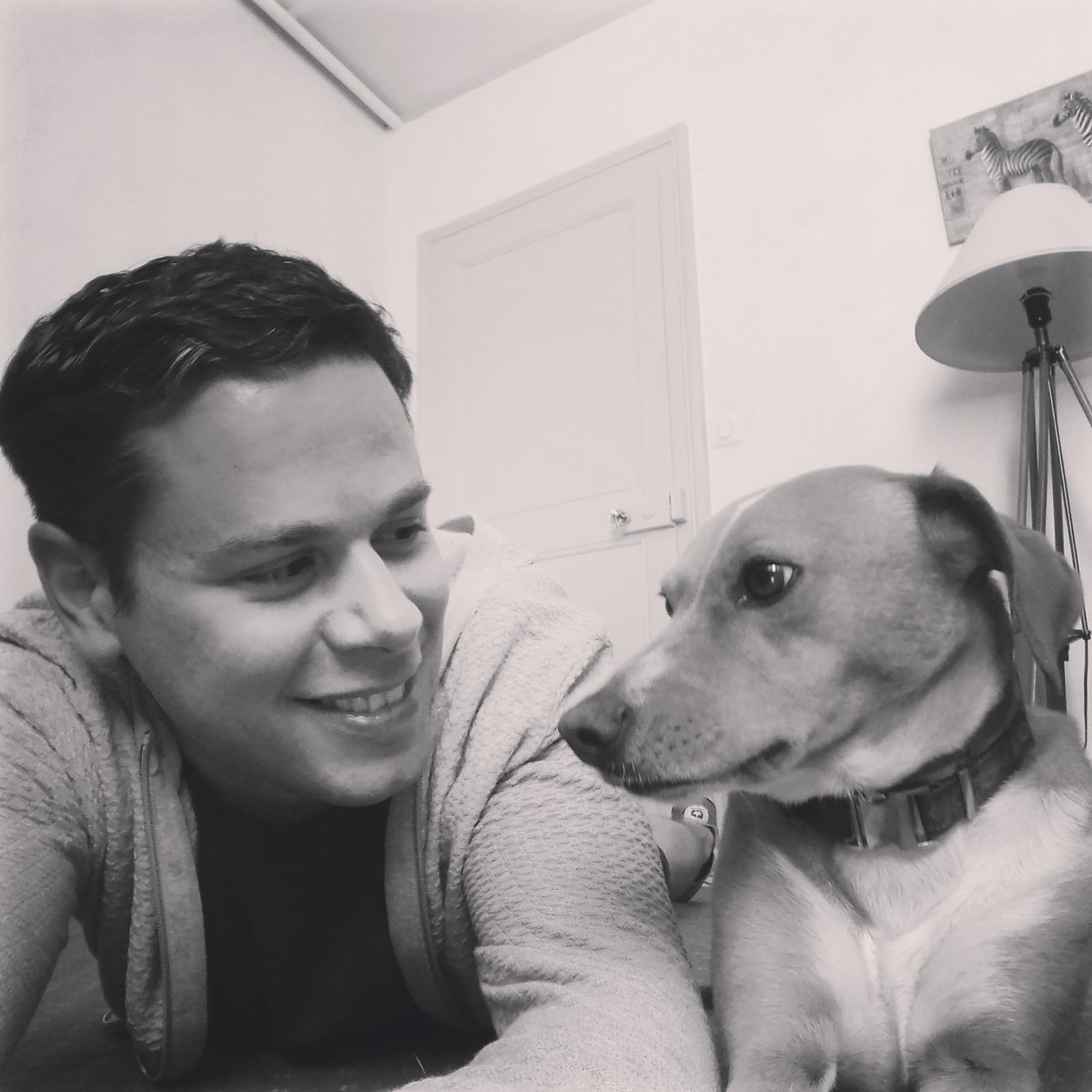 Concertation avec le #chien pour l'#Ecriture du prochain chapitre.
#animal 
#livre 
#DogLover