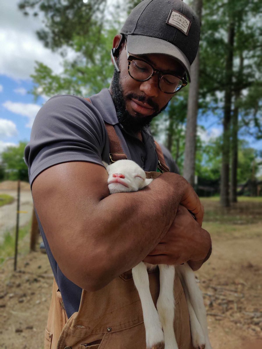frmdadirt's tweet photo. @atiralyons Moving my farm from Jonesboro to Ellenwood. Been serving Atlanta organically grown produce and meats for the past ten years. Took over our local spot 2 years back and been on the up since. Continuously evolving because of COVID 🙏🏾🙏🏾  https://t.co/hsSGduvVWA 
IG: @AtlantaHarvest https://t.co/BdnB9IHzbc