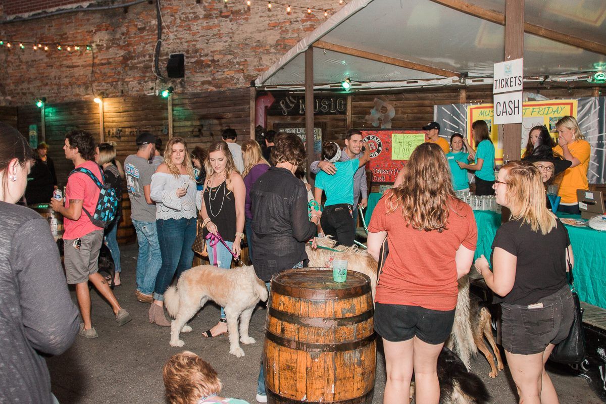 HSGSav's tweet image. #ThrowBackThursday

We are throwing it was back to Pup Crawl, 2017!! Who would like to see another Pup Crawl in the future? We know we would!😏 🐾 🍻