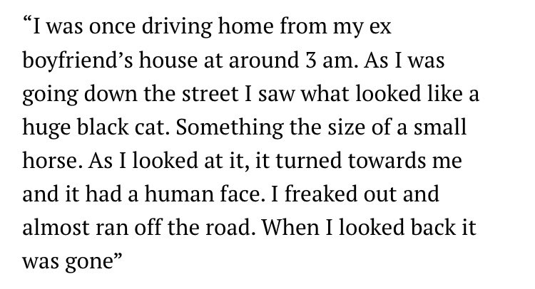 Wyatt Shears (@oldhauntedhorse) on Twitter photo 