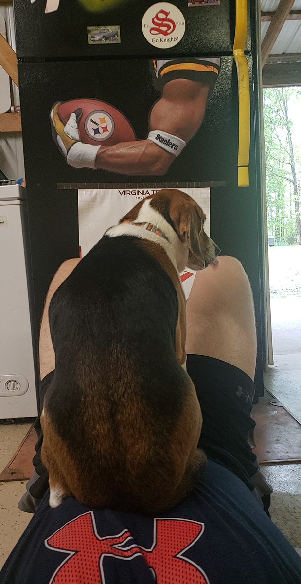 For some reason she doesnt like me doing sit ups and everytime I go down she tries to do this........sorry girl can't stop working