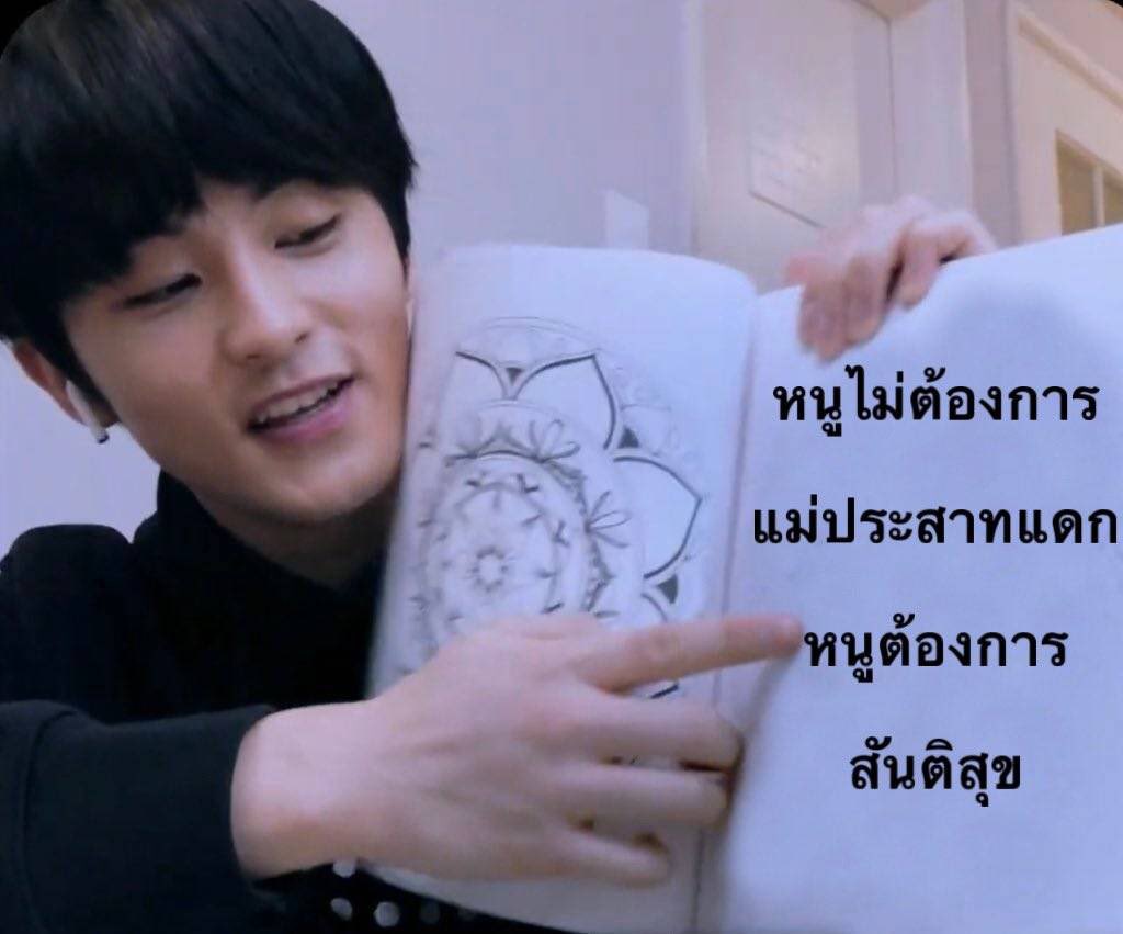 แต่มแต๋ม🌻 tweet media