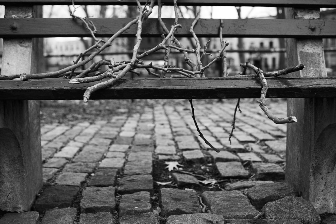 celestegph's tweet photo. New series: “Broken hearts”
.
.
.
#documentaryphotography #streetphotography #womanphotographer #blackandwhitephotography #digitalphotography #nikond750 #greenpoint #greenpointbrooklyn #nyc https://t.co/p0F0CFQwSB