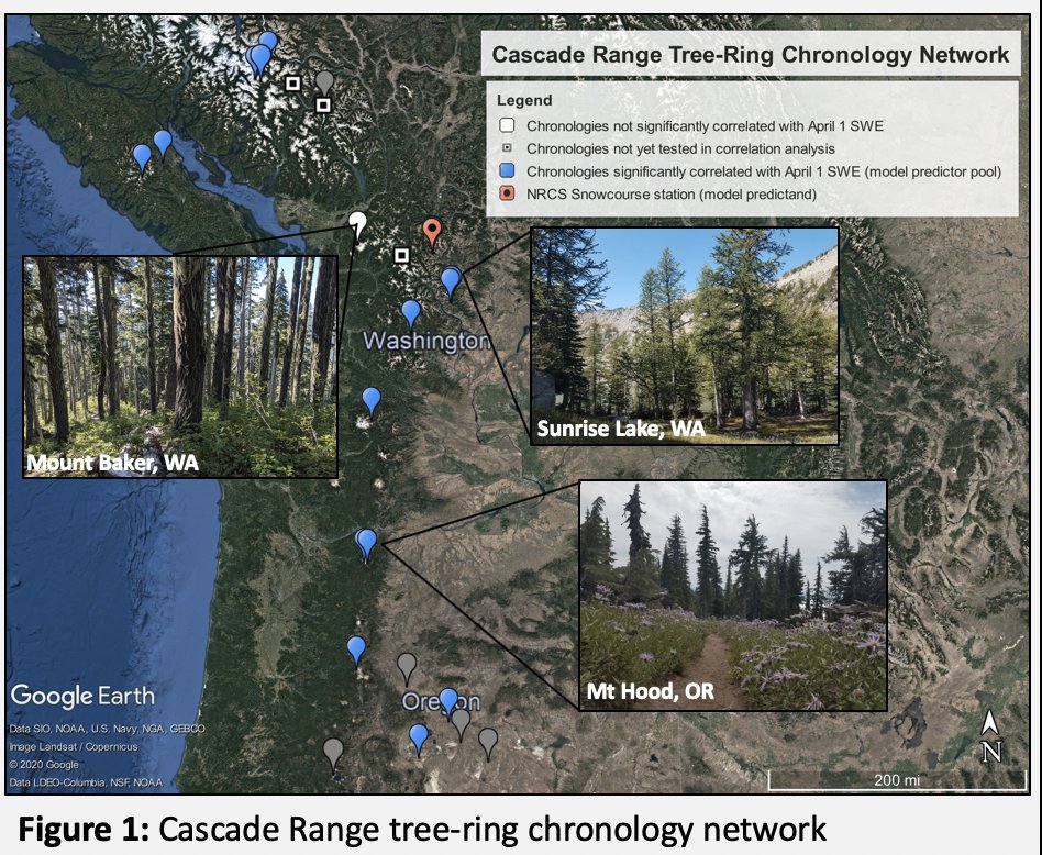 Congratulations MS student Laura Dye on winning the best poster award at <a href="/UNLVGeoscience/">UNLVGeoscience</a> #GeoSymposium2020! 'Tree rings reveal multi-century snowpack dynamics of the Cascade Range' <a href="/UNLVresearch/">UNLV Research</a>