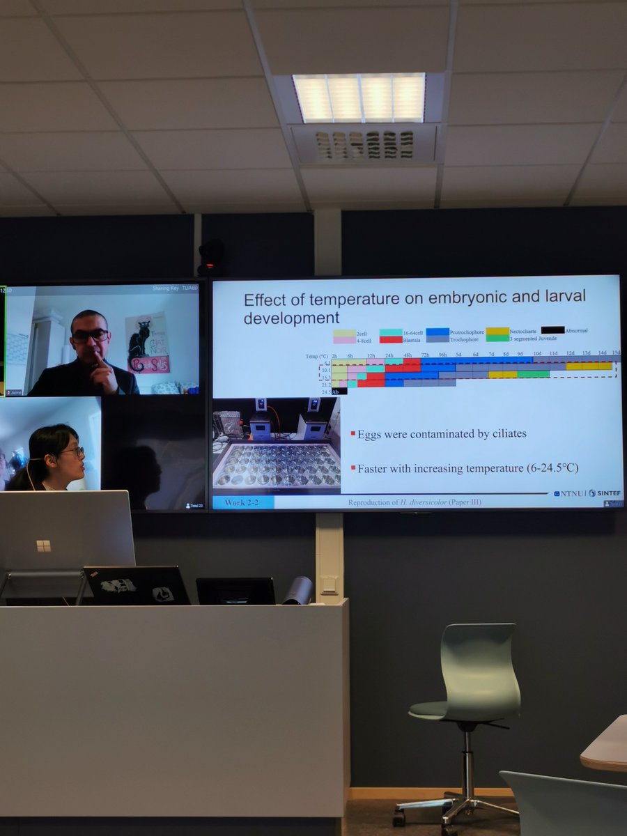 Polychaete_Prj's tweet photo. Nothing can stop her, bot even a nasty virus! Haiqing successfully defended her PhD thesis today! Congratulations! https://t.co/sEmCDRCiZ6