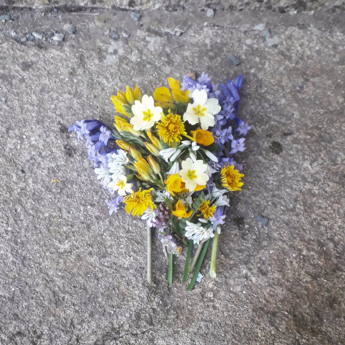 irarchaeology's tweet photo. Just left our May flowers on the front doorstep. This old Irish custom involves gathering flowers on May Eve (or in some places on May day morning) and leaving them in front of the main threshold. It was believed to protect the house from harm or evil. https://t.co/mUTXa6XaCT