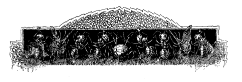 imagesivefound's tweet photo. "A Honey Dew Picnic" spot illustrations, Harper's New Monthly Magazine, 1892 https://t.co/5RVowAQW1t