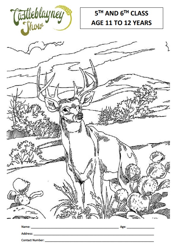 5th and 6th class Colouring Sheet