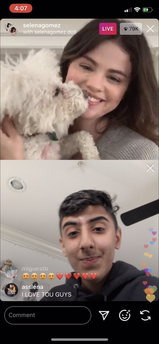 selenatorares's tweet image. WINNIE AND DAISY HAVE SEEN MY FACE