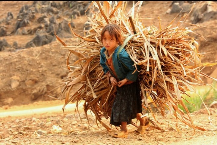 Zainimirza11's tweet photo. بوجھ کاندھوں سے کم کرو صاحب 😔
دن منانے سے کچھ نہیں ہوتا
#LabourDay⚒ https://t.co/3C4FYR18TU