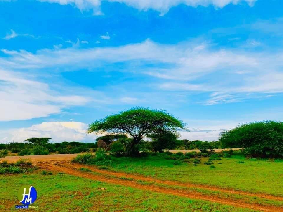 Welcome to Yagoori city’s Reserve Park, in the Sool region of Northern Somalia. #VisitSomalia  #Somalia