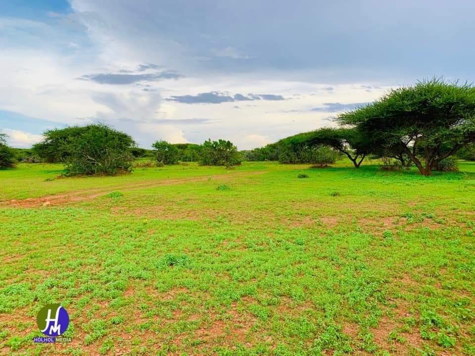 Welcome to Yagoori city’s Reserve Park, in the Sool region of Northern Somalia. #VisitSomalia  #Somalia