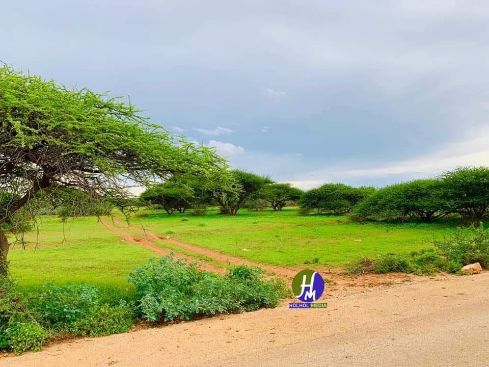 Welcome to Yagoori city’s Reserve Park, in the Sool region of Northern Somalia. #VisitSomalia  #Somalia