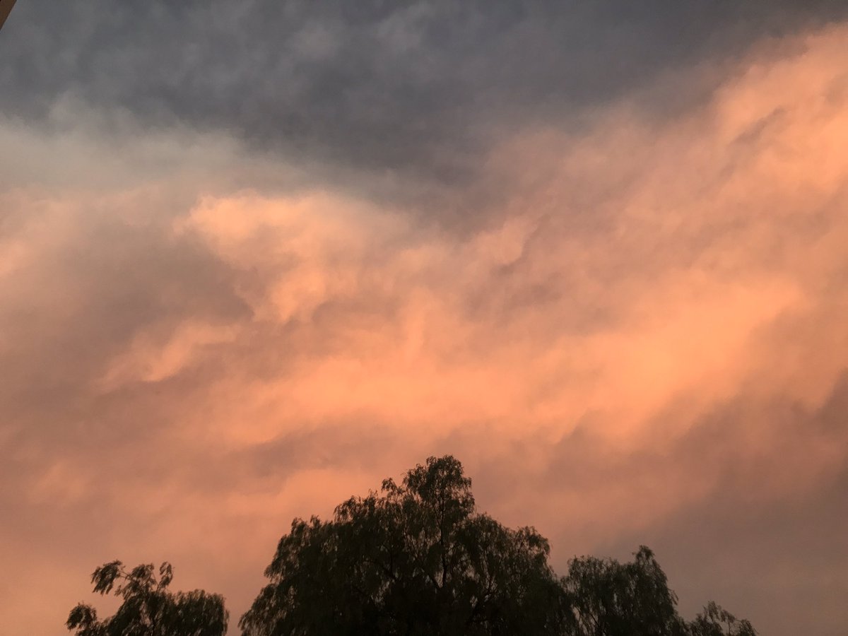 Daneesc's tweet image. Lit lo mejor de mi semana. 🍃