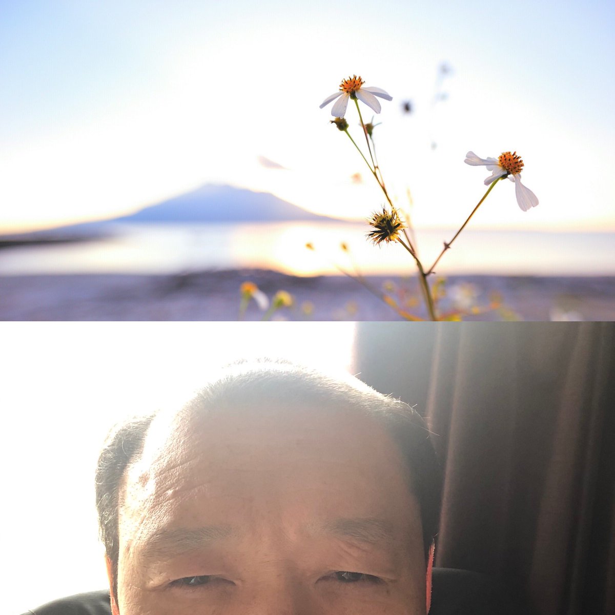 KoHamazu's tweet photo. ひっそりと暮らす
雄琴のハッピーおじさん https://t.co/ULHKkbKH0w