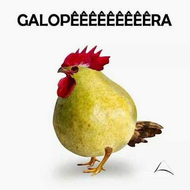 gabigabe4's tweet photo. Hoje tem que ter! Peloamordedeus! #CHXBrahamLive Chitãozinho &amp; Xororó! 🐔🍐 https://t.co/xh4TIKoa7B