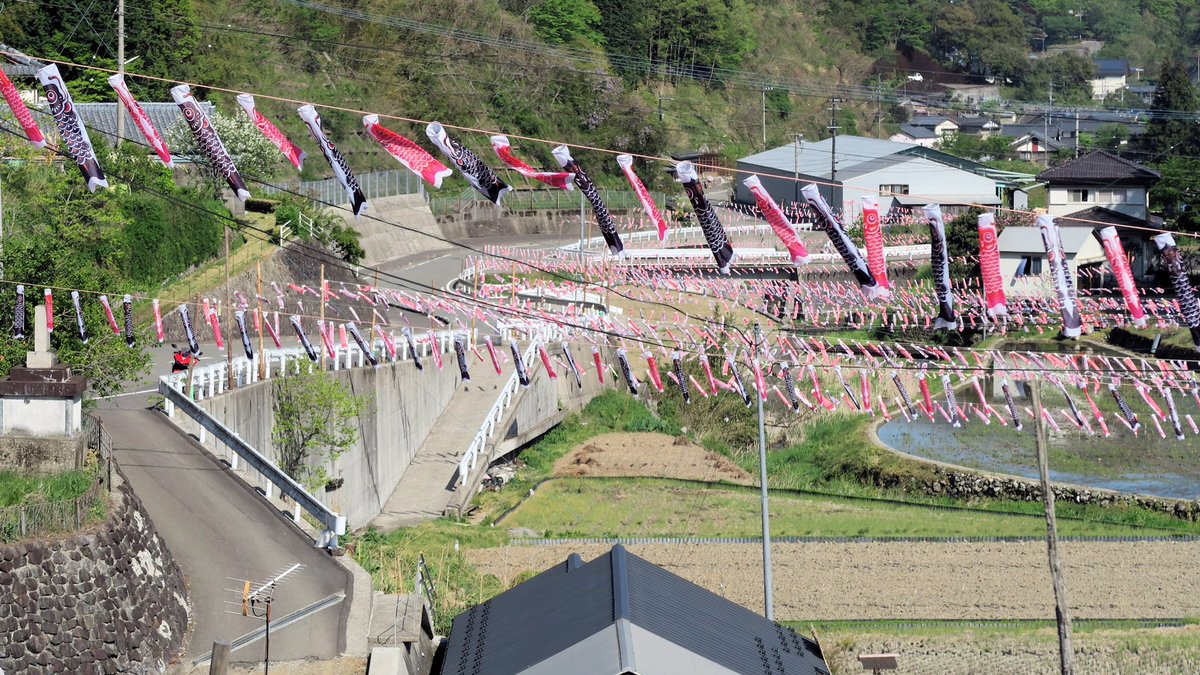 ひょうま 5月ですね 今年のgwは自宅で また見られる日を願って こいのぼり 鯉のぼり 4枚目は 鰹のぼり 元祖 川渡しの四万十町十和 高知県四万十川 四万十市西土佐 高知県四万十川 梼原町白谷 高知県梼原川 黒潮町土佐佐賀 高知県伊与木川