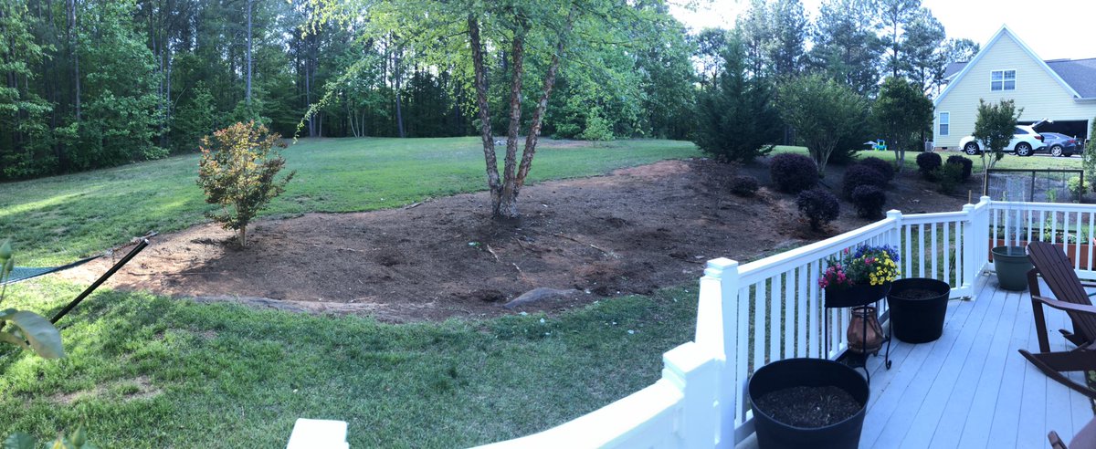 LaughOutLander's tweet photo. Thus far in my isolation landscaping project I have removed and relocated 7 shrubs, one small stone wall, 17 earth snakes and one ticked off toad.   4 more shrubs to go, and it’s time for soil, sod and LOTS of🌹🌷🥀🌺🌸💐 (and 🥃) #IsolationGoals https://t.co/AgUWkzbT2X