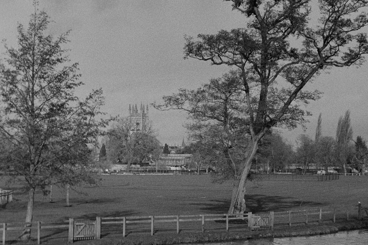 NilsScarbro's tweet photo. Christ Church Meadow, Oxford

#Praktica BC1, Tamron 28-70mm
#BerlinKinoFilm, ISO400, #Rodinal 1+50 13.5 min
#Lomography
#blackandwhitephotography
#filmphotography #believeinfilm
#filmisnotdead #shootitwithfilm https://t.co/gPUEqPkT6y