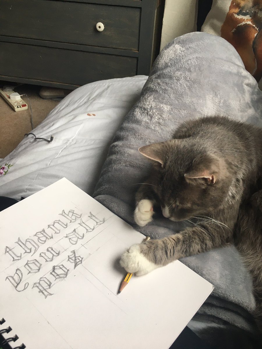 tilly rose tweet media