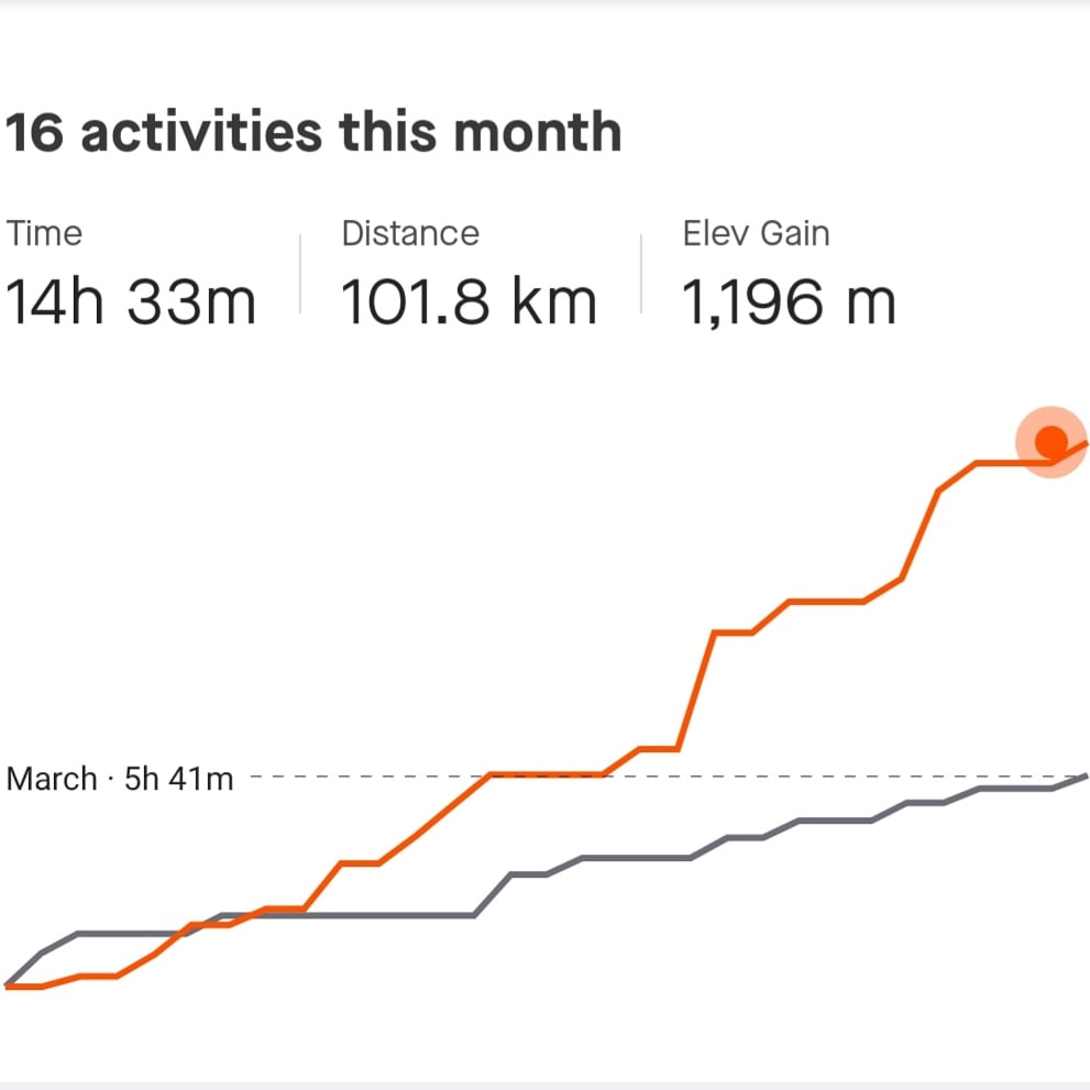Katherine Green tweet media