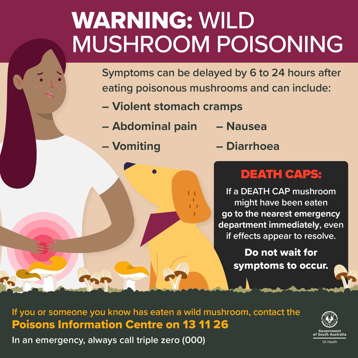 Poisonous mushrooms appear across SA just after heavy rain in autumn/winter. South Australians are reminded to keep an eye on their children and pets to avoid eating wild mushrooms. Play it safe and only eat mushrooms that have been purchased from a green-grocer or supermarket.