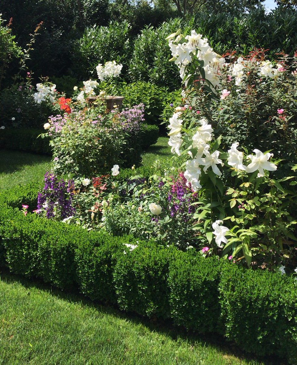 "Native plants are more attractive to local pollinators than imported or hybridized plants because they have co-evolved and their lifecycles are in sync." 5 simple tips for starting a pollinator garden: buff.ly/2xW3MWc #pollinatorgarden #gardeningtips #nativeplants