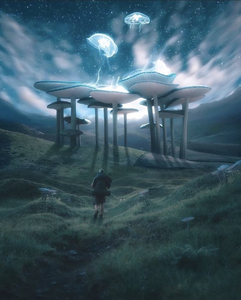 dully718's tweet image. Excellent work 🙌🙌🙌🙌 #ASOT962