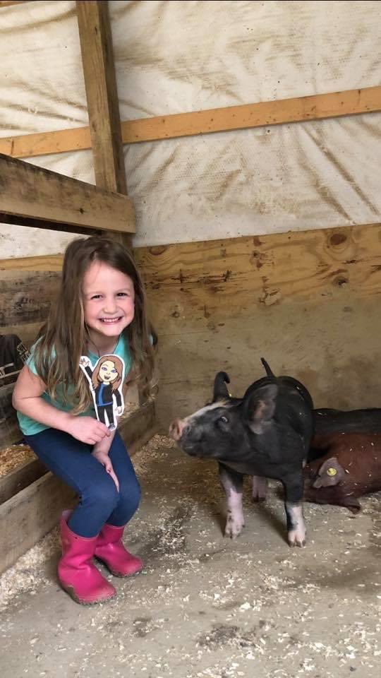 ToniECarroll12's tweet photo. #flatcarroll so excited to finally be on adventures with my kinders!! My flat life is definitely way more exciting than my real life! Adilyn took me on a farm adventure!! Then we made brownies and ended the day with me all tucked in for bed! π#flatteacher @JoeWalkerES https://t.co/DJtImJD4Ow