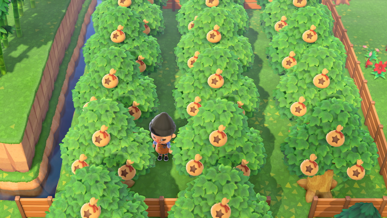 Ron on Twitter: "Money farm $$$ #AnimalCrossing #ACNH #NintendoSwitch…