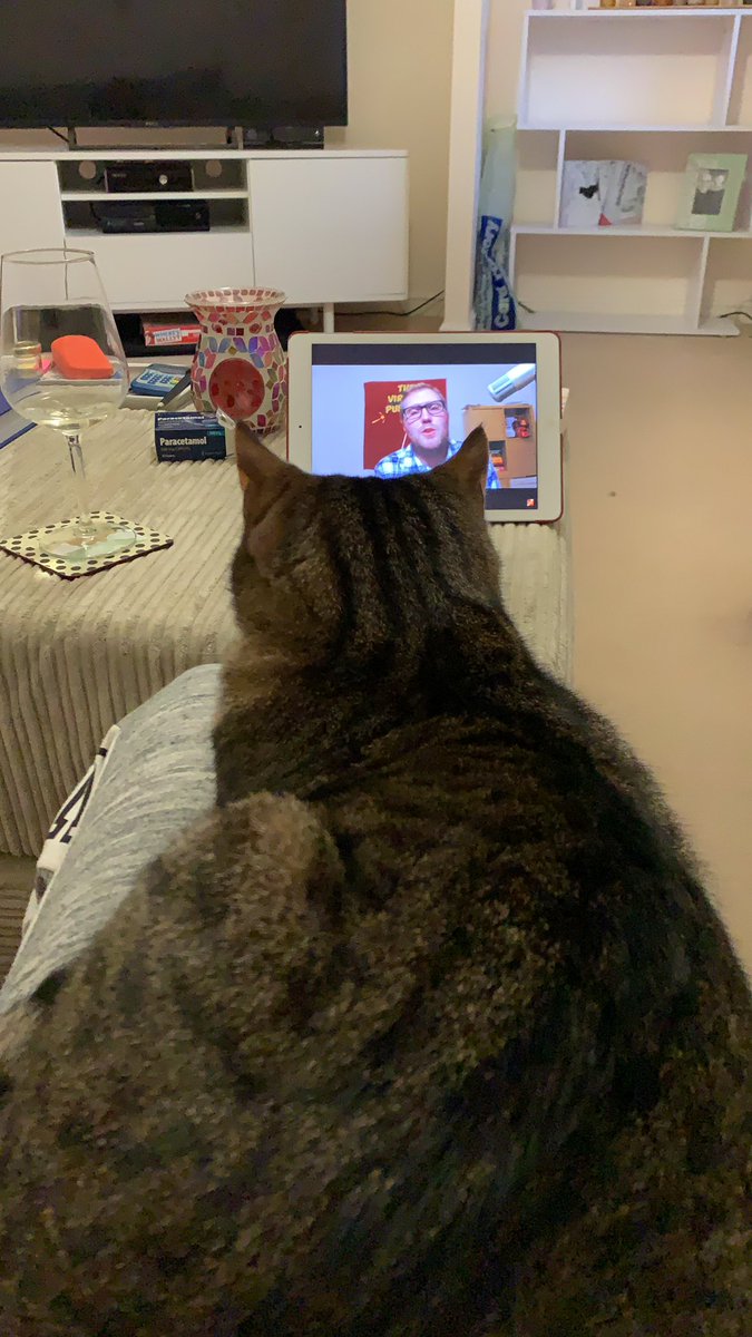 My team mate for #virtualpubquiz  <a href="/TheVirtualPubQ1/">Jay Flynn</a> has not been much help yet #quarantineloner