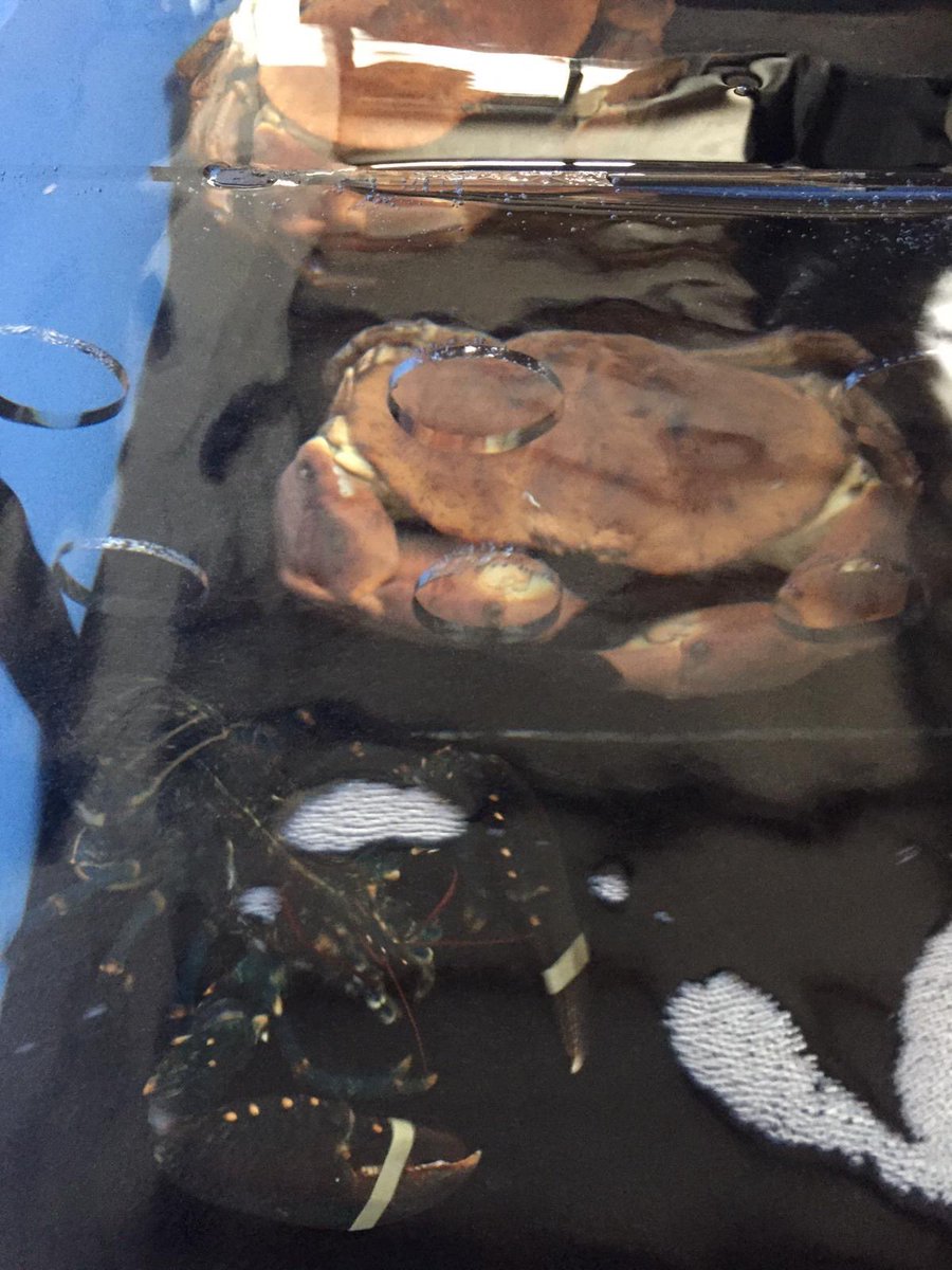 Homarium Uk Ltd tweet media