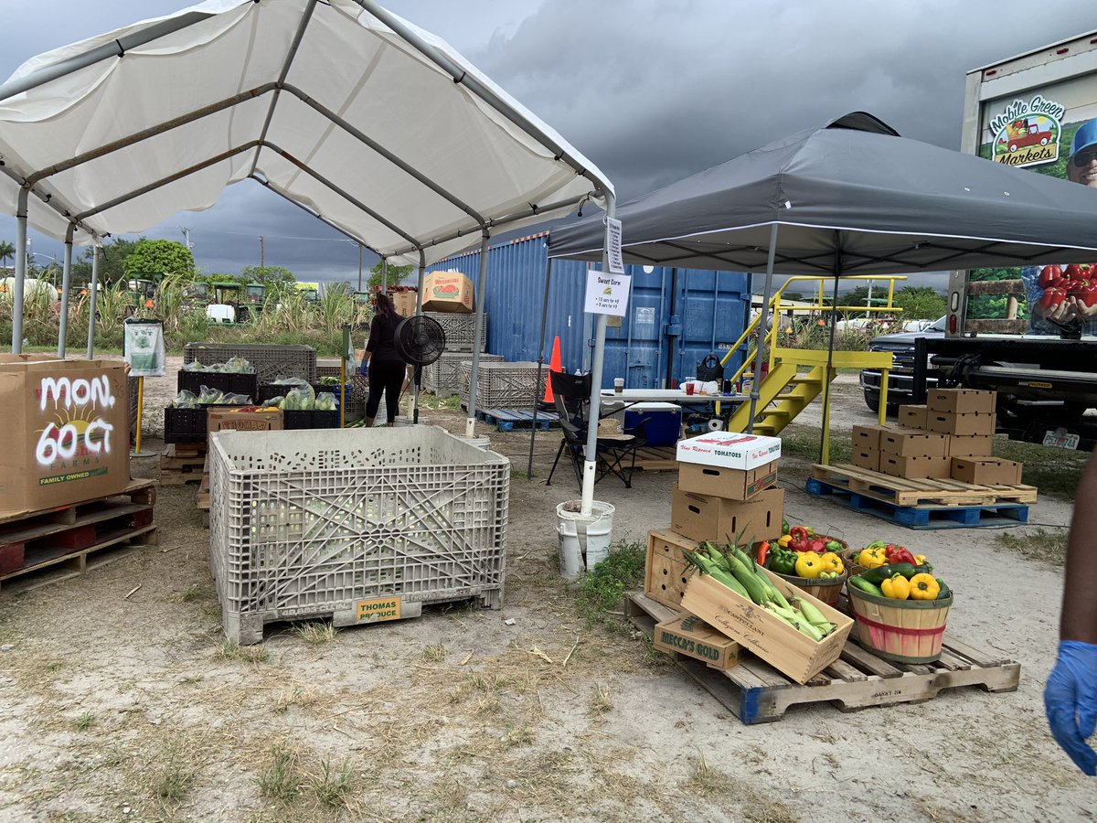 Ldmmyer's tweet photo. Drive up #farmersmarket #florida #floridaproduce #thomases https://t.co/noFI1LQY0G