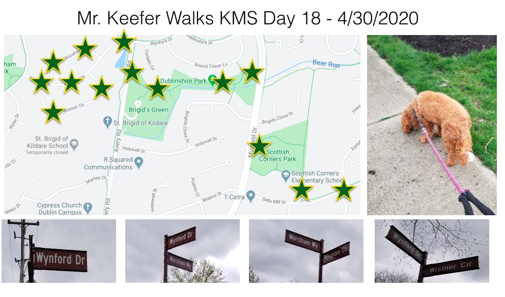 KMSRoom229's tweet photo. It was a short and very quiet walk for Juno and me today. #KMSWander day 18 is complete. We didn't see any @KarrerMS friends outside today. Hopefully tomorrow! https://t.co/3AZz9yu490