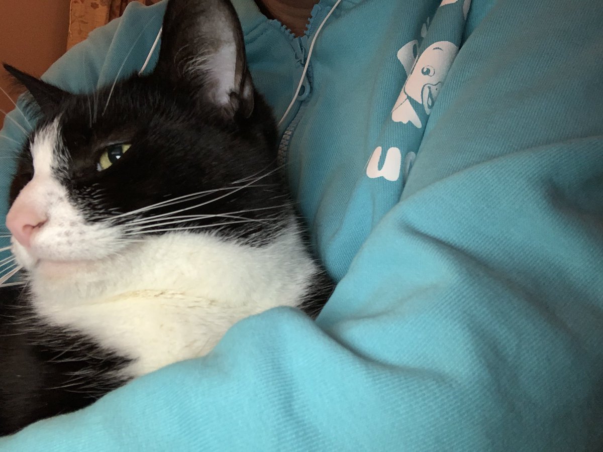 Heather Whitaker tweet media