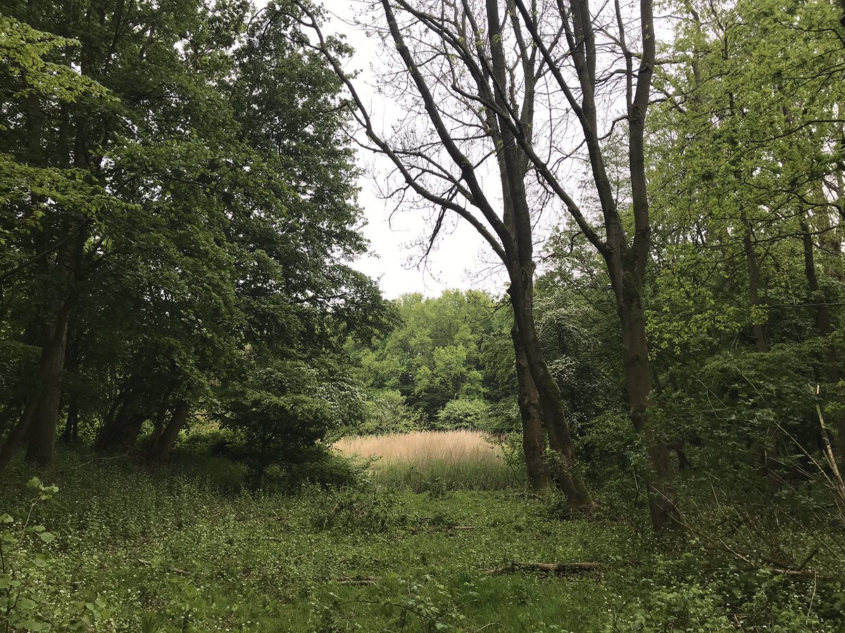hartelparkSpijk's tweet photo. #Hartelpark #Spijkenisse #Nissewaard #GroeneBuffer https://t.co/u4MQ6xkz2p