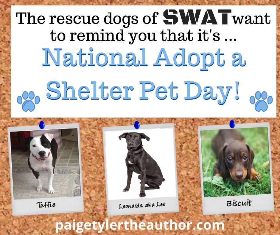 PaigeTyler's tweet photo. Rescued is my favorite breed! ๐ #NationalAdoptAShelterPetDay #dogs #cats #pets #AdoptDontShop #SWATSeries #thriller #authorsofinstagram #booksareessential #bookstagram #werewolves #paranormalromance #RomanticSuspense https://t.co/mNHaXkDKnh