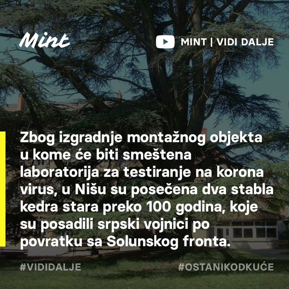 savski_nasip's tweet photo. Neka ostane zapis(ano) da je korona virus odneo i dva stogodišnja stabla. 🌳🌳
#mint #vididalje #mintv #korona #pandemija https://t.co/VsU88tQhDQ