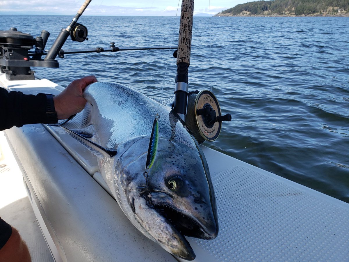 sportfishingbc