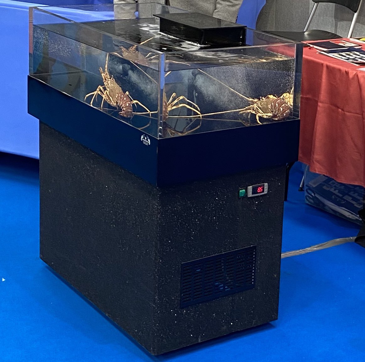 Homarium Uk Ltd tweet media