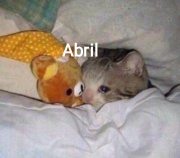 Resumen de lo que va del año 2020