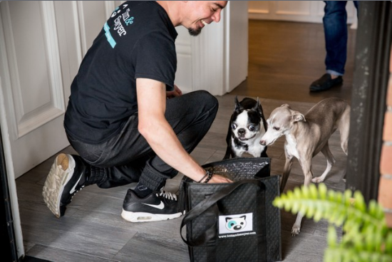TwoStThomas's tweet photo. Our exclusive pet partner Tom and Sawyer continue to deliver fresh pet food right to your door, contact free. Visit their profile for more information and to place your order. Tom&amp;Sawyer Fresh Prepared Pet Meals https://t.co/w35k64GxVB