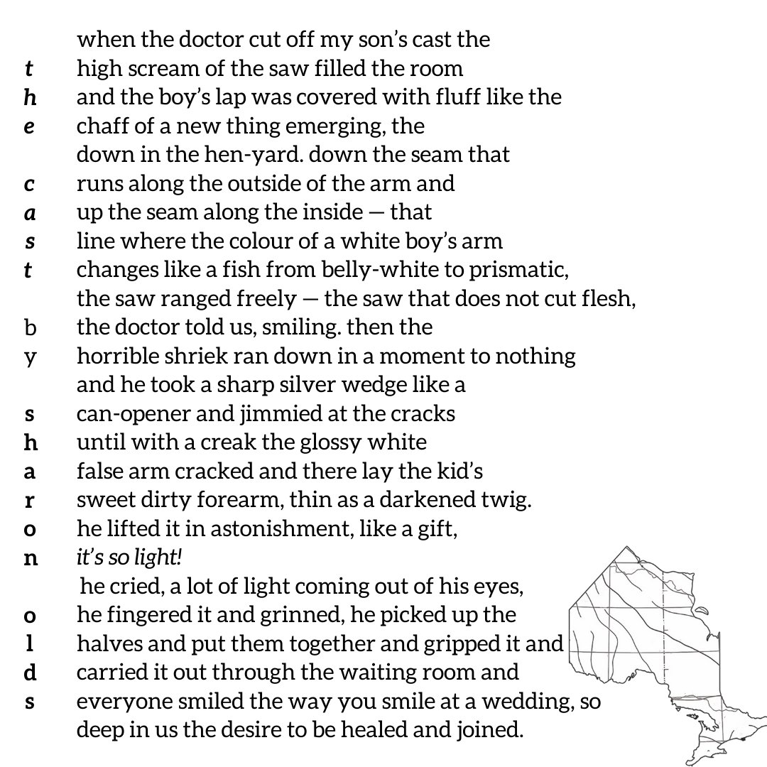 The Northern Appeal tweet media